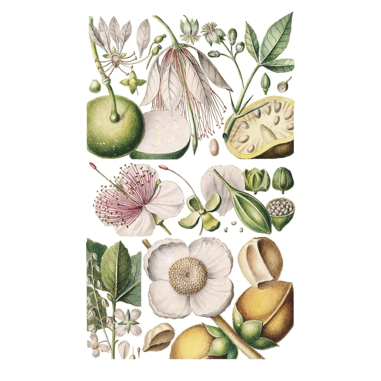 100 FLOWER POSTCARDS - Image 3