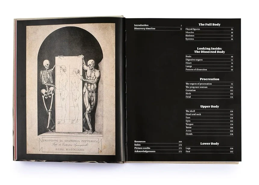 ANATOMICA - Image 2