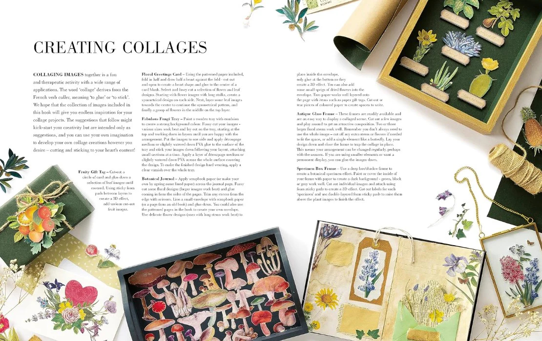 BOTANICAL ART TO CUT OUT AND COLLAGE - Image 2