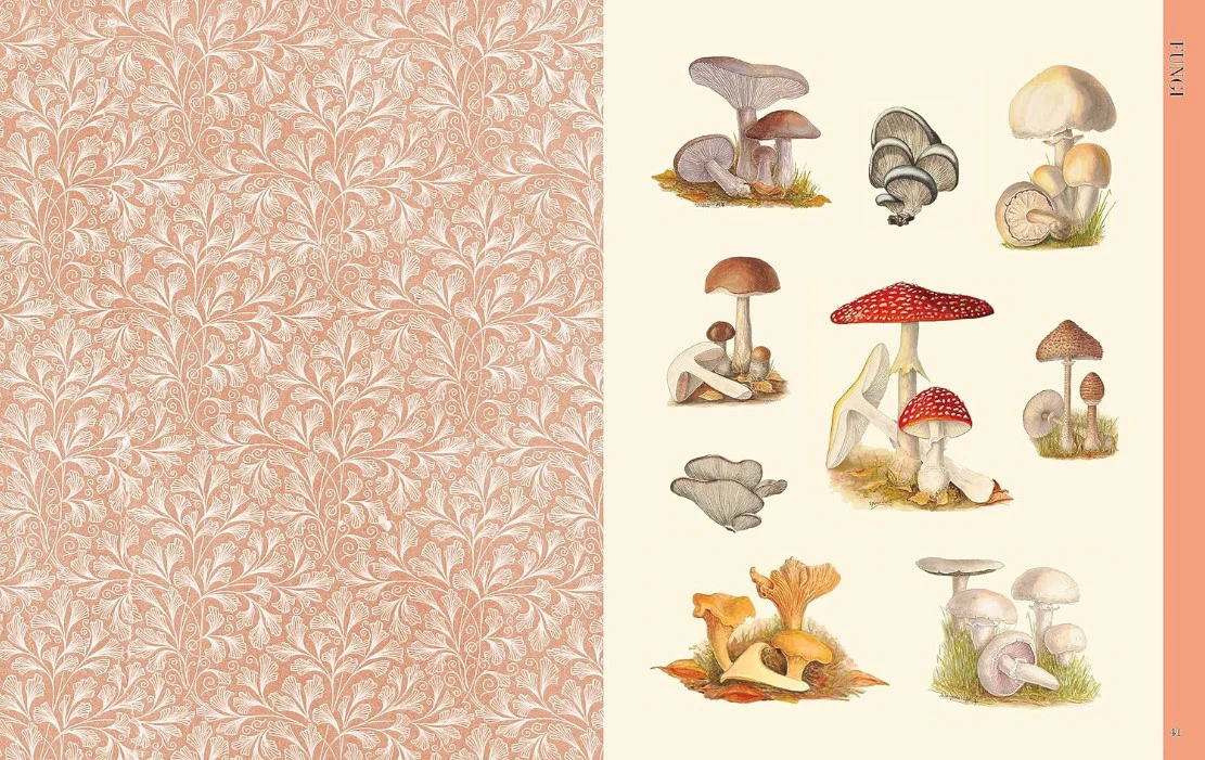 BOTANICAL ART TO CUT OUT AND COLLAGE - Image 3