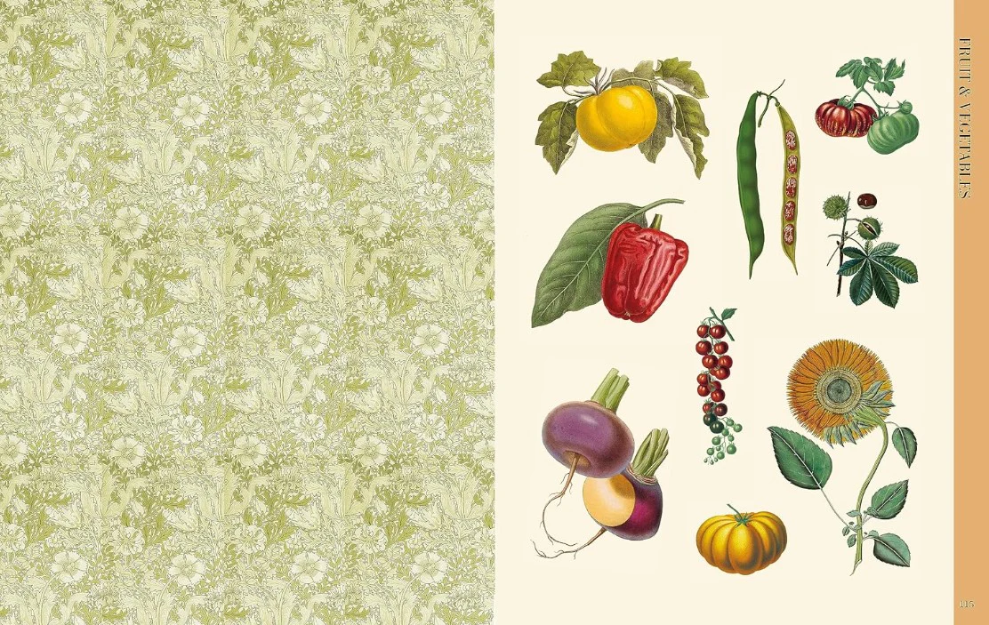 BOTANICAL ART TO CUT OUT AND COLLAGE - Image 4
