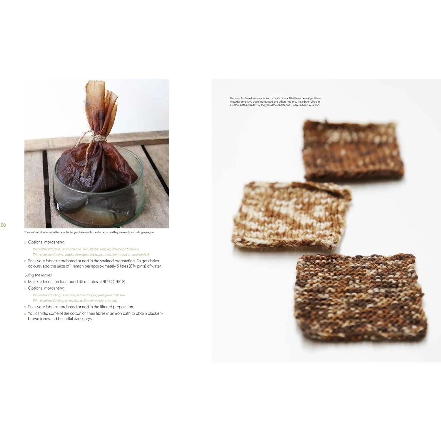 BOTANICAL DYES - Image 4