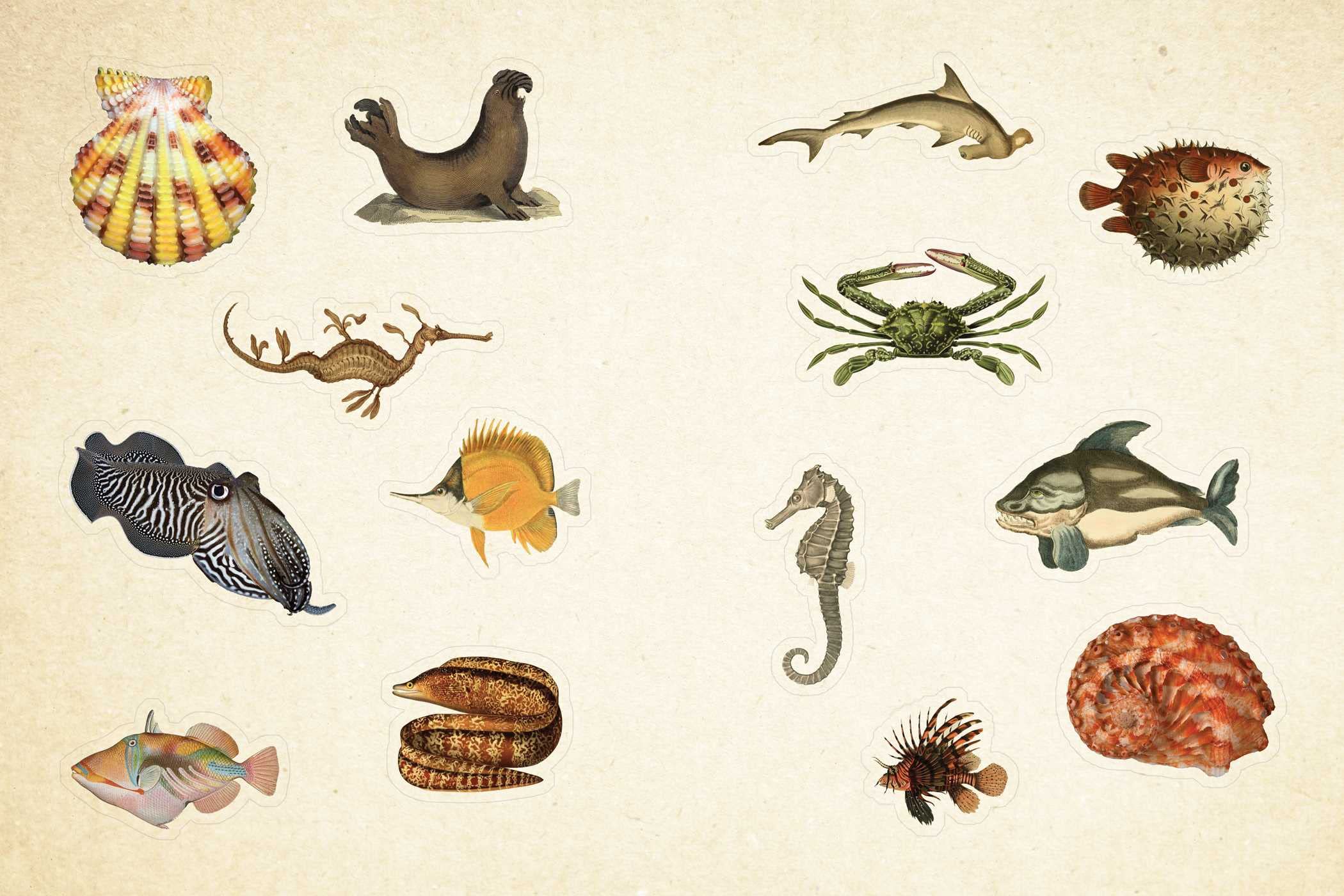 CABINET OF CURIOSITIES :OVER 1,000 CURATED STICKER - Image 2