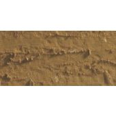 CARAN D'ACHE NEOPASTEL OIL PASTEL 037 BROWN OCHRE