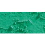 CARAN D'ACHE NEOPASTEL OIL PASTEL 201 VERONESE GREEN