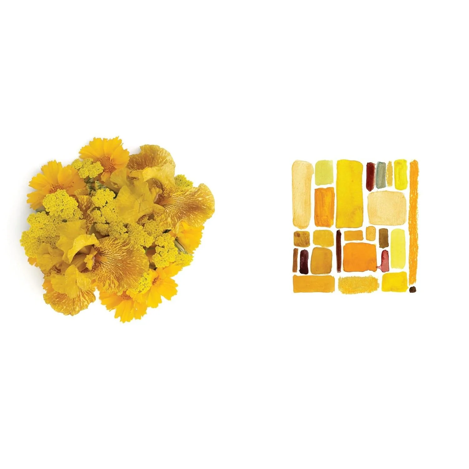 COLOUR CURIOUS COLOUR INSPIRATION - Image 4