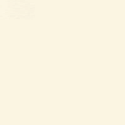 CRESCENT WHITECORE BOARD 1000 POMPANO WHITE - Image 3