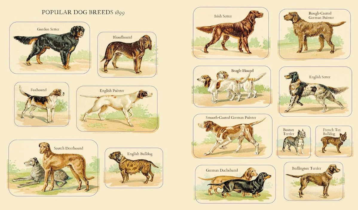 CYNTHIA HARTS 340 VICTORIANA DOGS STICKERS - Image 4