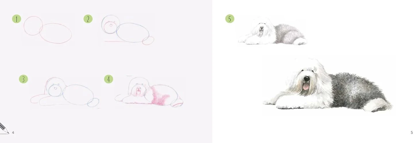DRAW 30 DOGS IN EASY STEPS - Image 2