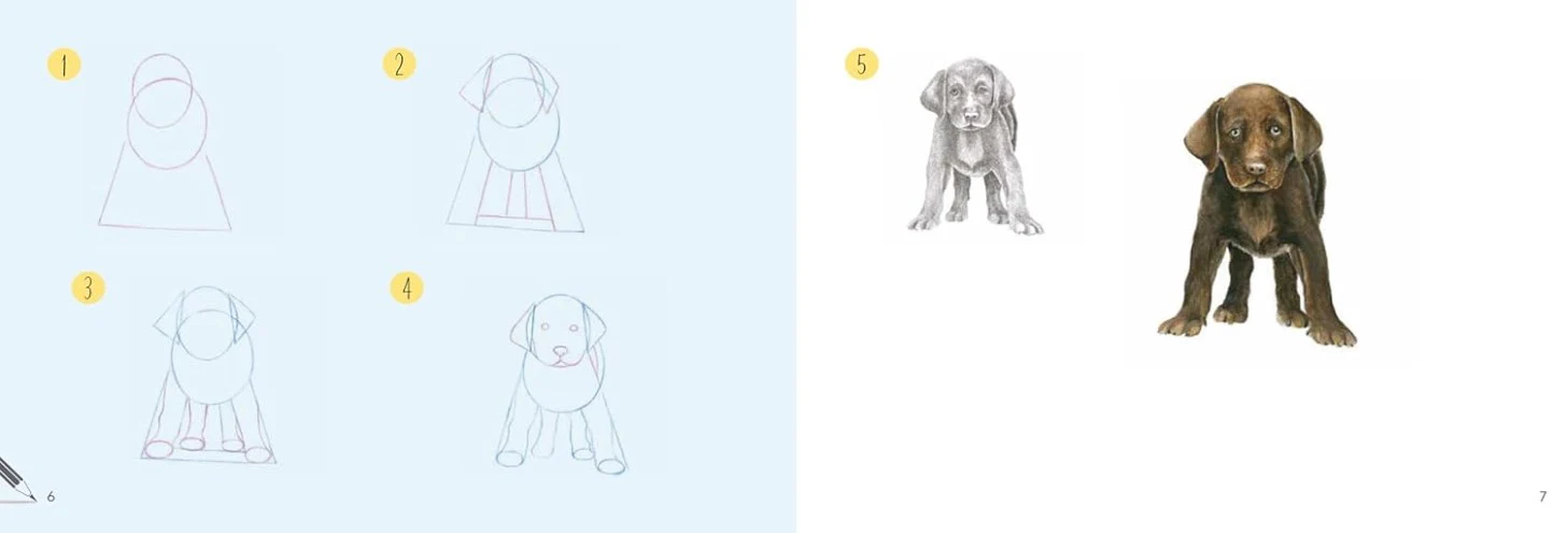 DRAW 30 DOGS IN EASY STEPS - Image 3