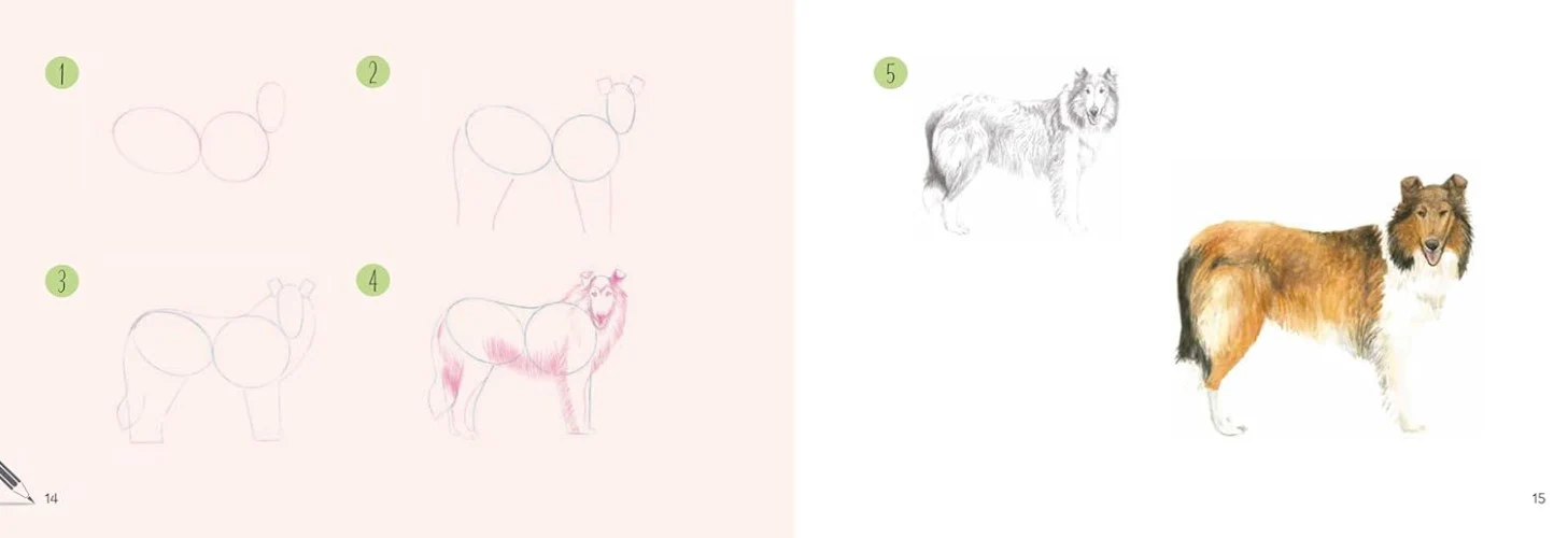 DRAW 30 DOGS IN EASY STEPS - Image 4