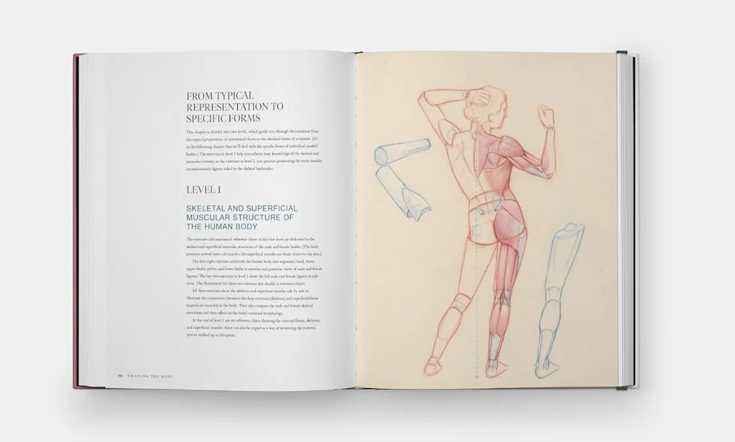 DRAWING THE BODY READING THE HUMAN FORM IN ART - Image 2