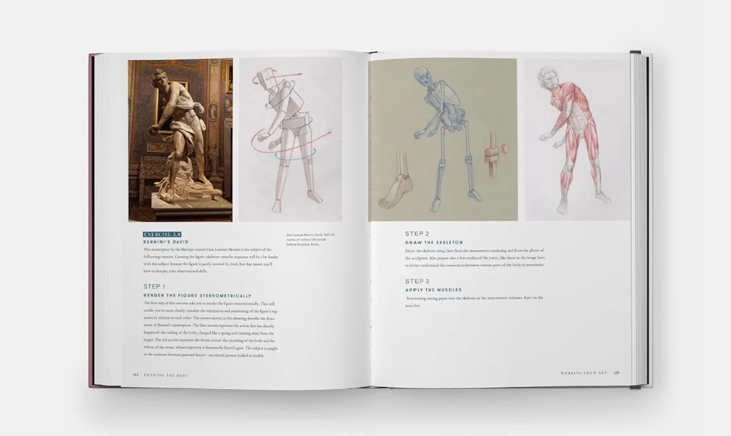 DRAWING THE BODY READING THE HUMAN FORM IN ART - Image 3