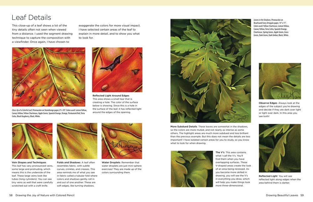 DRAWING THE JOY OF NATURE COLOURED PENCIL - Image 2