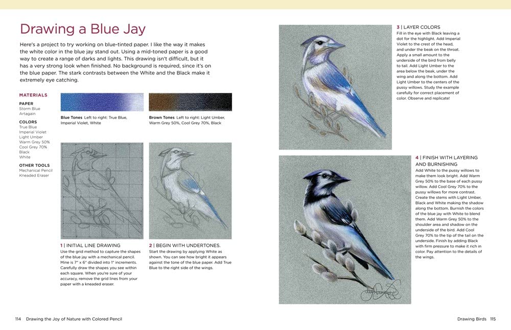 DRAWING THE JOY OF NATURE COLOURED PENCIL - Image 4
