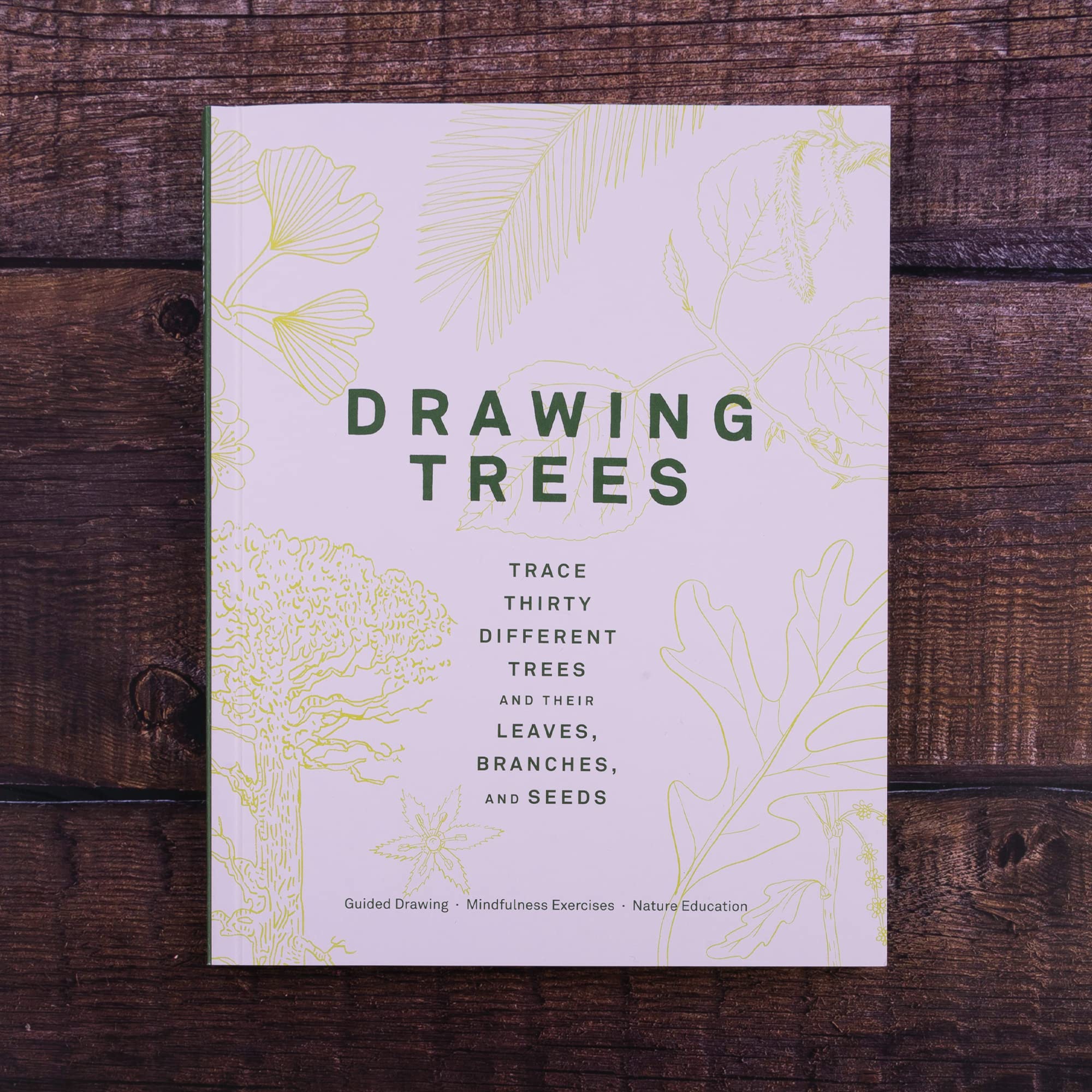 DRAWING TREES : TRACE THIRTY DIFFERENT TREES - Image 2