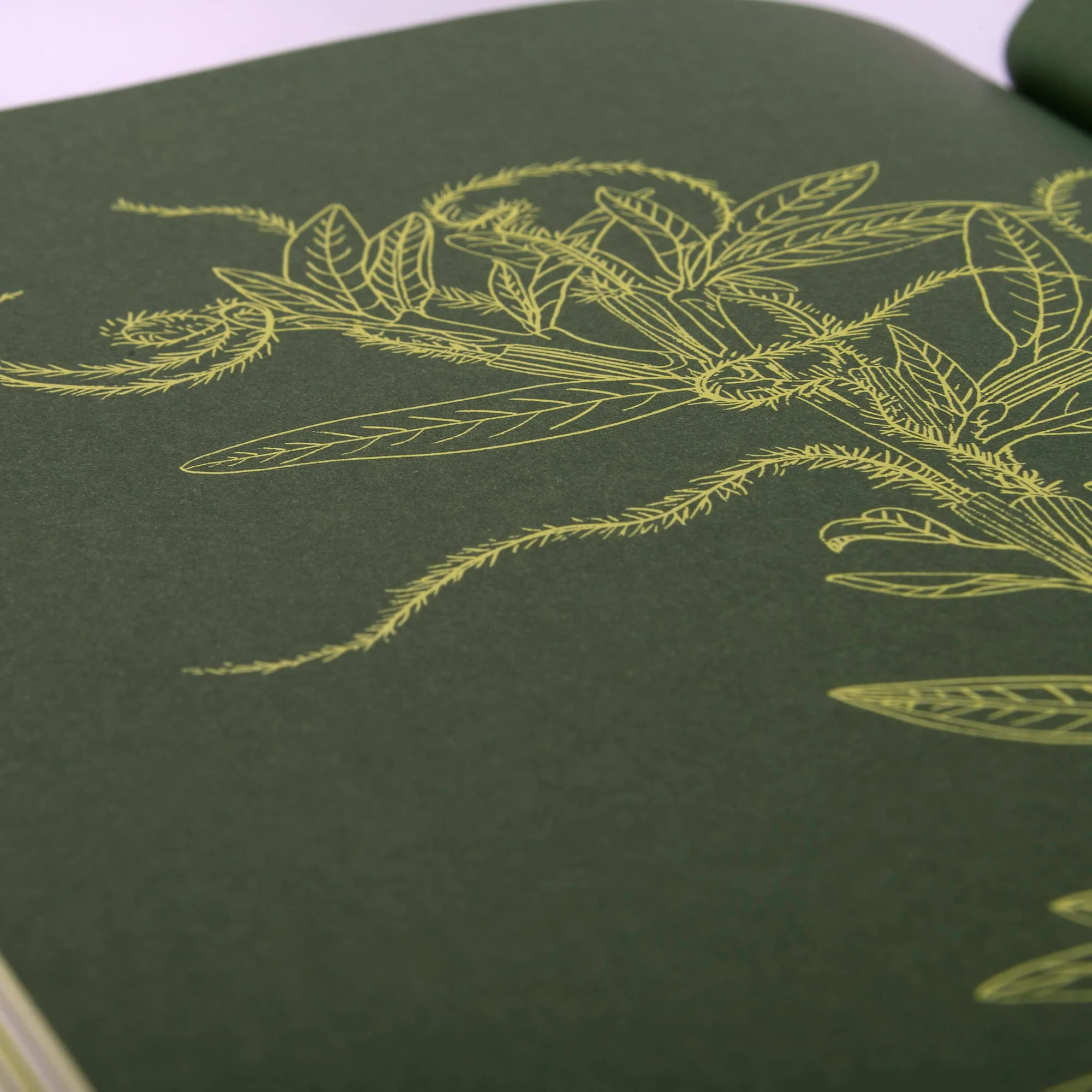 DRAWING TREES : TRACE THIRTY DIFFERENT TREES - Image 4