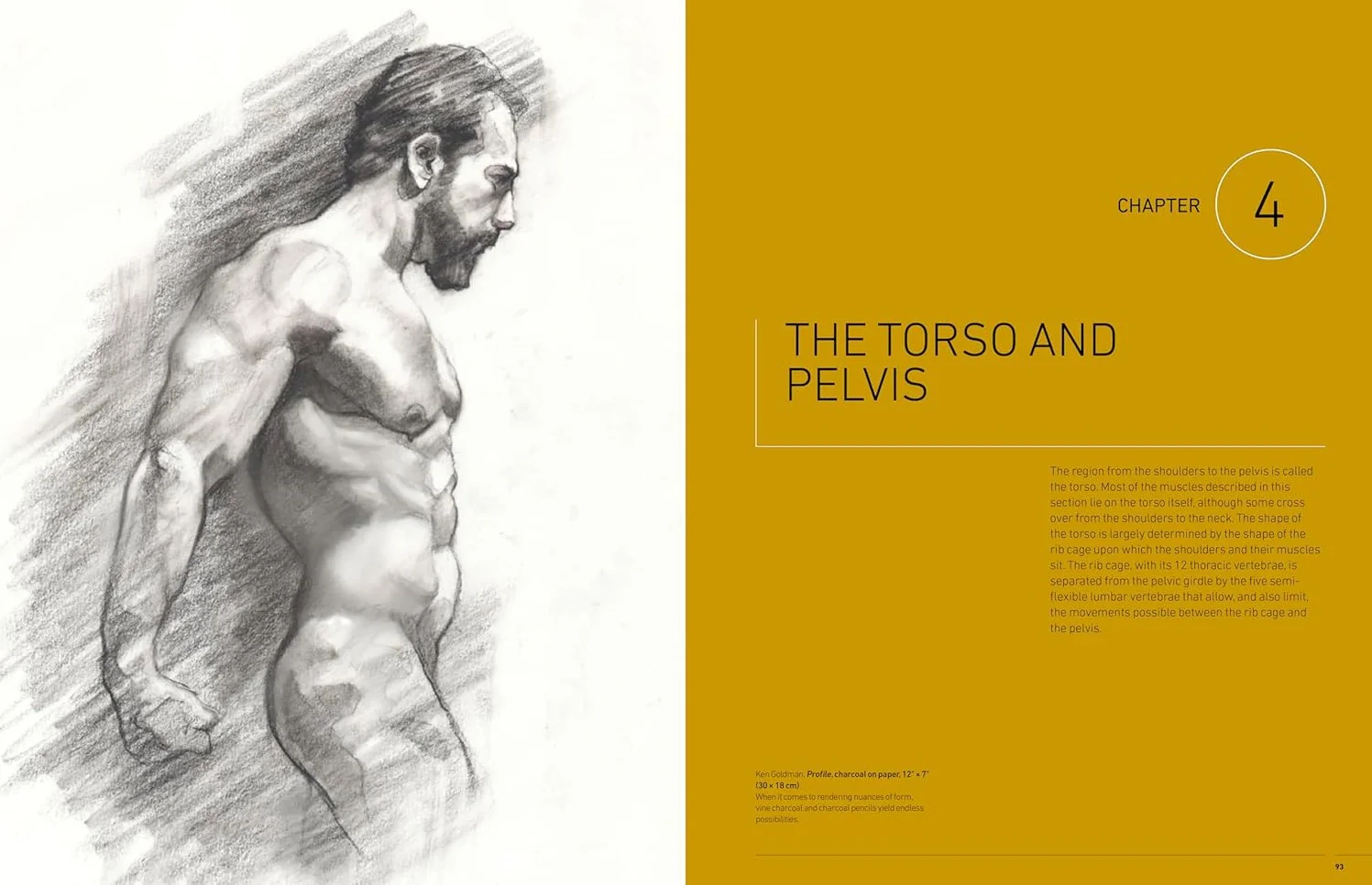 ESSENTIAL HUMAN ANATOMY STRUCTURES AND FORM - Image 4