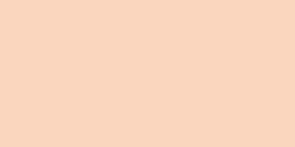 FABER CASTELL ALBRECHT DURER WATERCOLOUR PENCIL BEIGE RED 132
