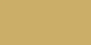 FABER CASTELL ALBRECHT DURER WATERCOLOUR PENCIL GOLD 250