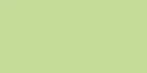 FABER CASTELL ALBRECHT DURER WATERCOLOUR PENCIL LIGHT GREEN 171