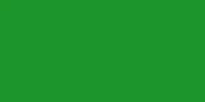 FABER CASTELL ALBRECHT DURER WATERCOLOUR PENCIL PERMANENT GREEN 266