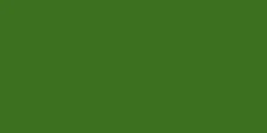 FABER CASTELL ALBRECHT DURER WATERCOLOUR PENCIL PERMANENT GREEN OLIVE 167