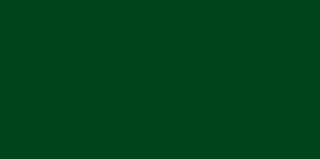 FABER CASTELL ALBRECHT DURER WATERCOLOUR PENCIL PINE GREEN 267