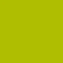 FABER CASTELL POLYCHROMOS COLOURED PENCIL MAY GREEN 170