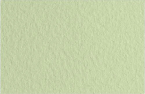 Fabriano Tiziano Pastel Paper 160gsm Fern (Verduzzo) Sheet