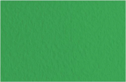 Fabriano Tiziano Pastel Paper 160gsm Meadow Green (Prato) Sheet
