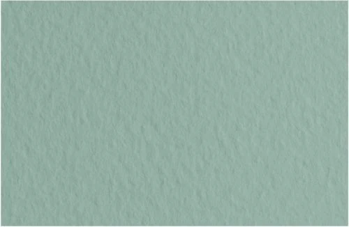 Fabriano Tiziano Pastel Paper 160gsm Sage Green (Salvia) Sheet