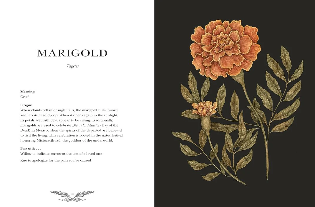 FLORIOGRAPHY - Image 3