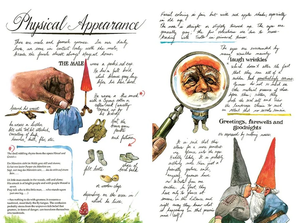GNOMES - Image 2