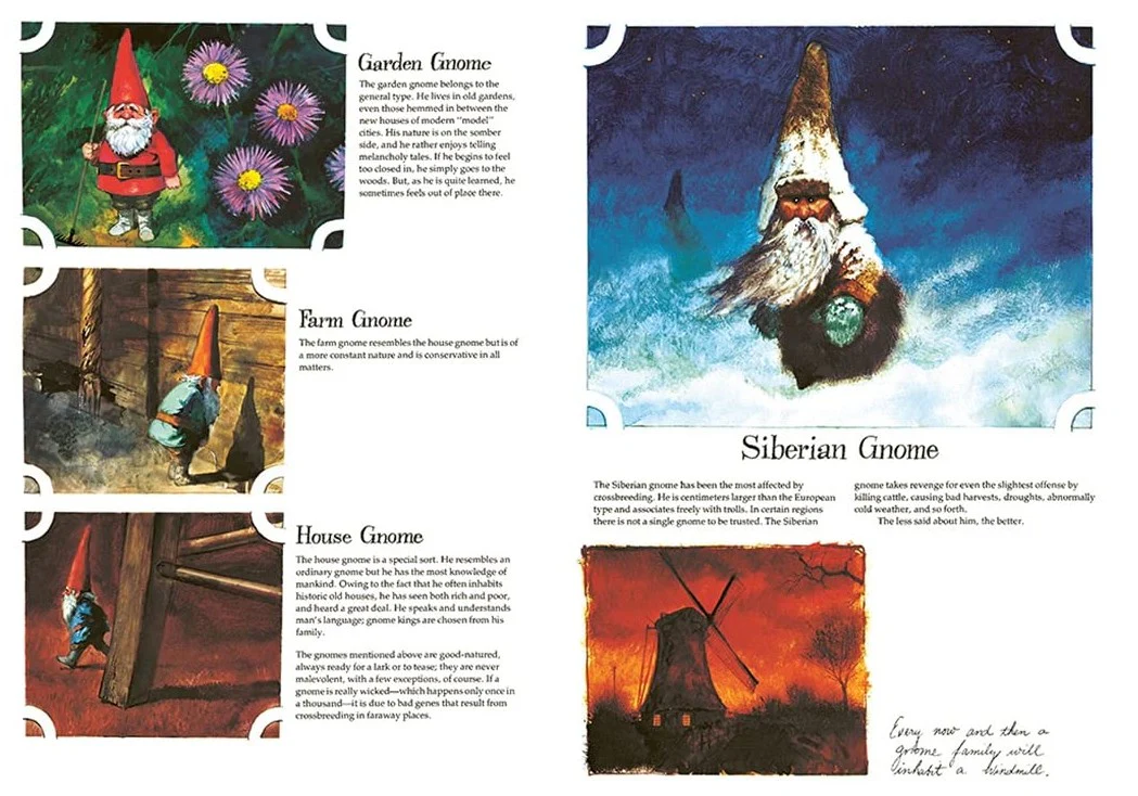 GNOMES - Image 3