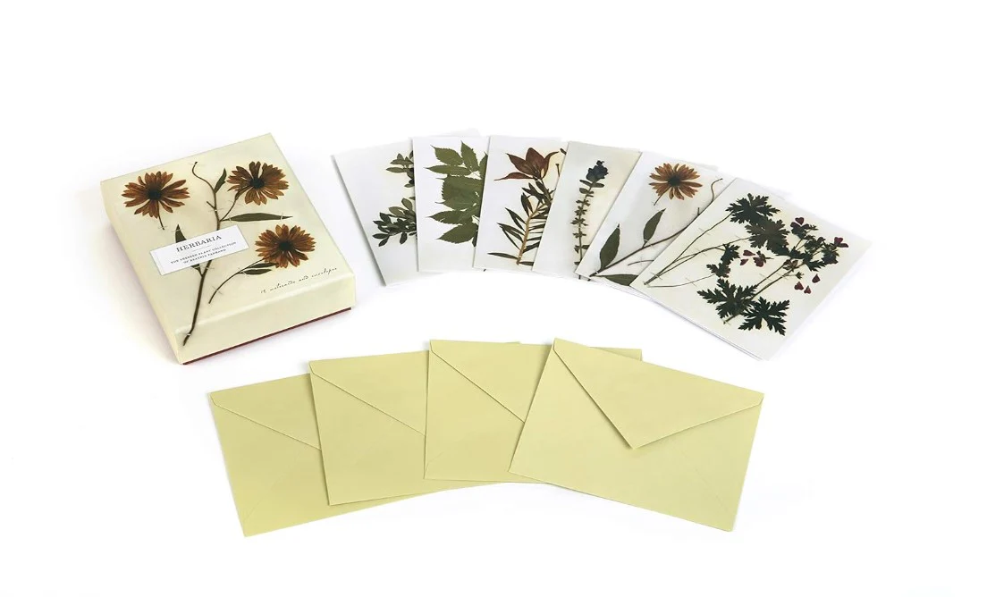 HERBARIA PRESSED PLANT 12 NOTECARDS ENVELOPES - Image 2