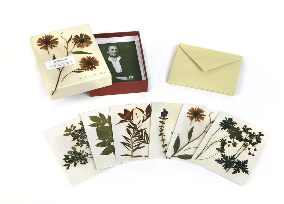 HERBARIA PRESSED PLANT 12 NOTECARDS ENVELOPES - Image 3