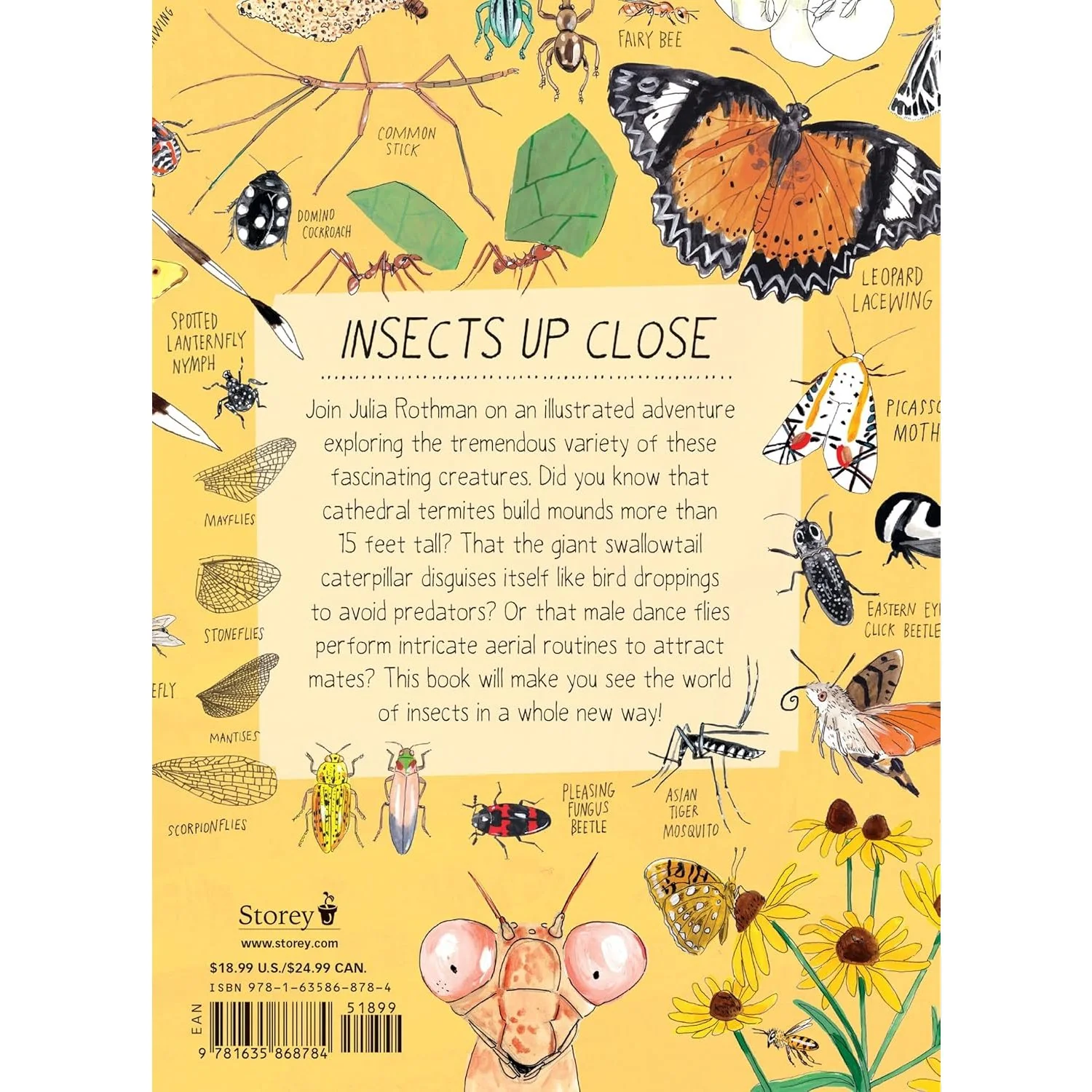INSECT ANATOMY - Image 2