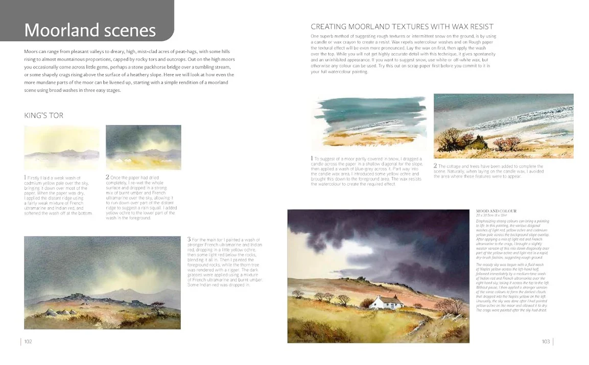 LANDSCAPE PAINTING NATURAL WORLD IN WATERCOLOUR - Image 4