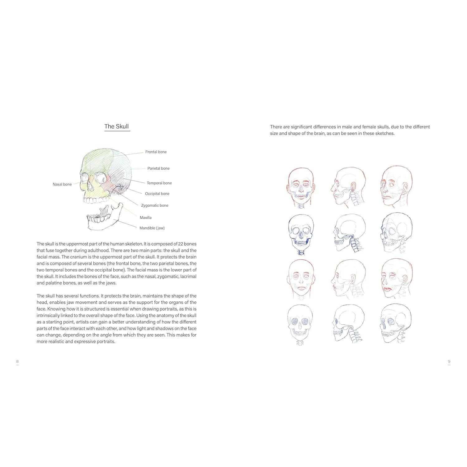 LEARN TO DRAW FACES 5O MODELS - Image 2