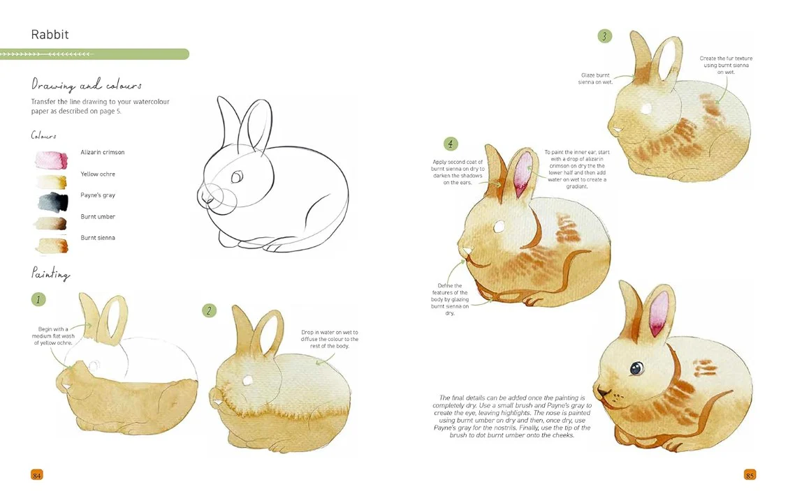 PAINT 50 WATERCOLOUR ANIMALS - Image 2