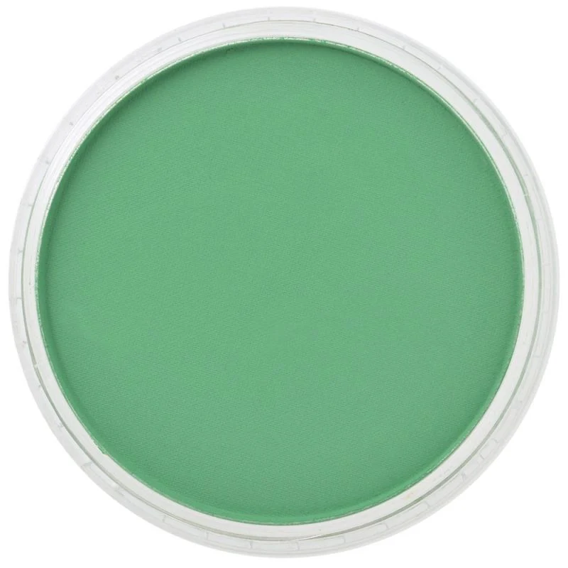 PAN PASTEL ARTISTS' PASTEL 640.5 PERMANENT GREEN - Image 2