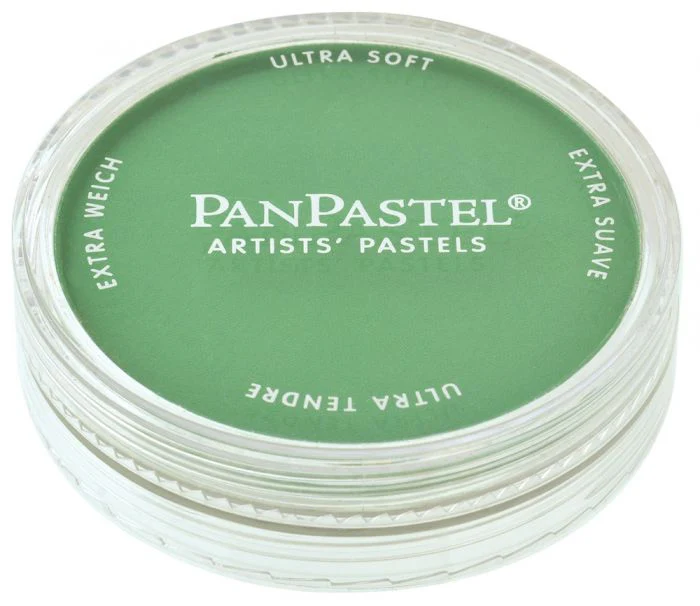 PAN PASTEL ARTISTS' PASTEL 640.5 PERMANENT GREEN - Image 3