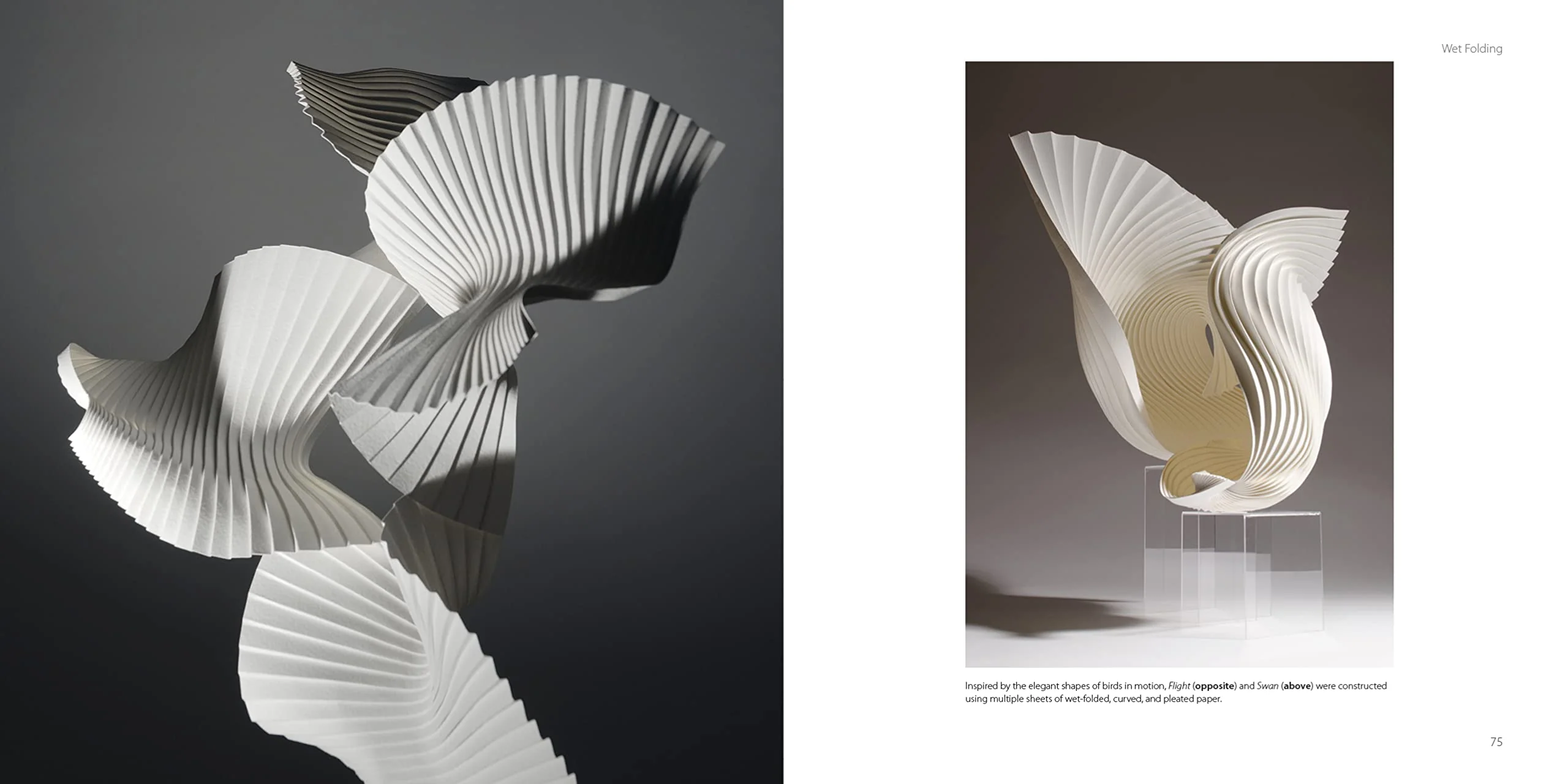 PAPER SCULPTURE - Image 4