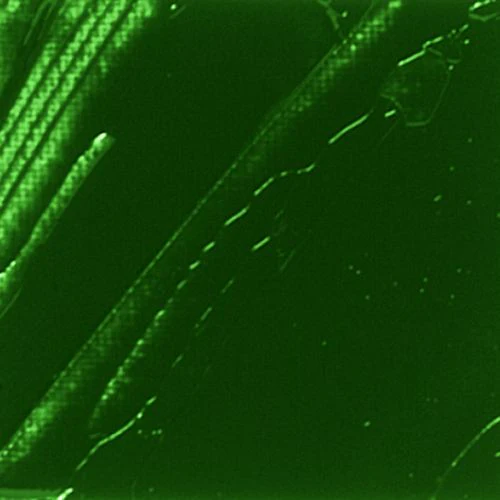 Pebeo XL Oil Paint Phthalo Emerald - Image 2