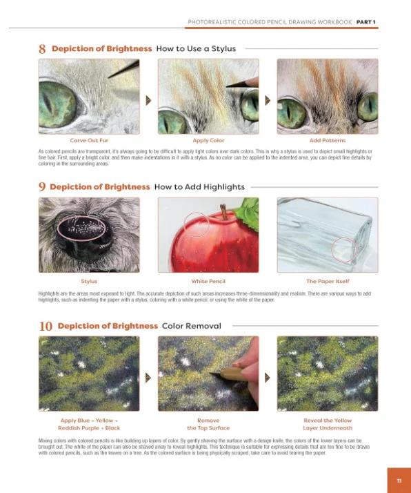 PHOTOREALISTIC COLOURED PECIL DRAWING 16 PROJECTS - Image 3