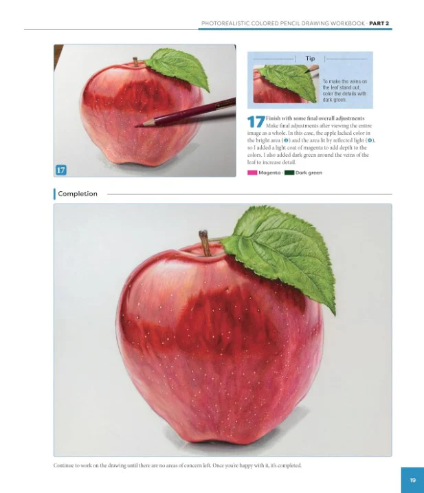 PHOTOREALISTIC COLOURED PECIL DRAWING 16 PROJECTS - Image 4