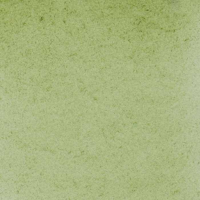 Schmincke Horadam Aquarelle Watercolour Paint Green Earth - Image 6