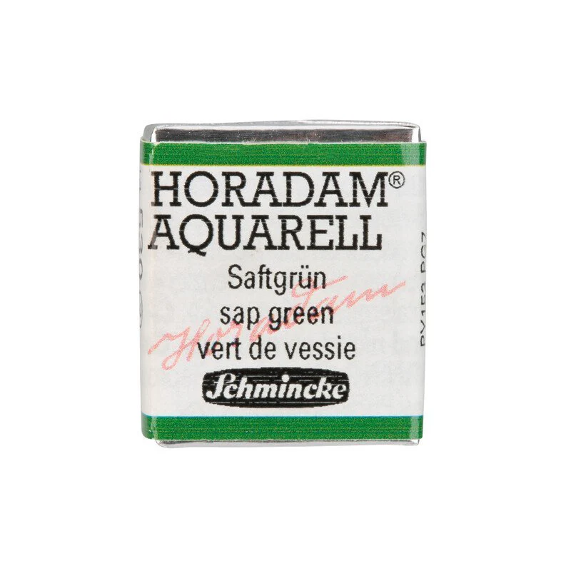 Schmincke Horadam Aquarelle Watercolour Paint Sap Green - Image 3