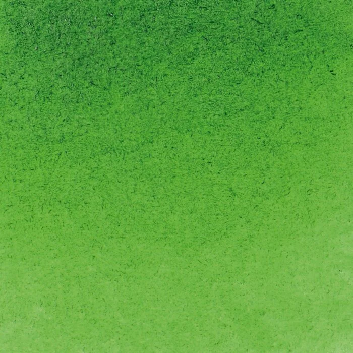 Schmincke Horadam Aquarelle Watercolour Paint Sap Green - Image 6